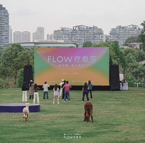 FLOW 成都疗愈节 - 城市正念冥想与身心疗愈体验